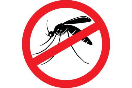 Reasons for mosquito control