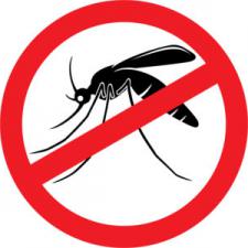 3 Important Reasons To Invest In Mosquito Control Services